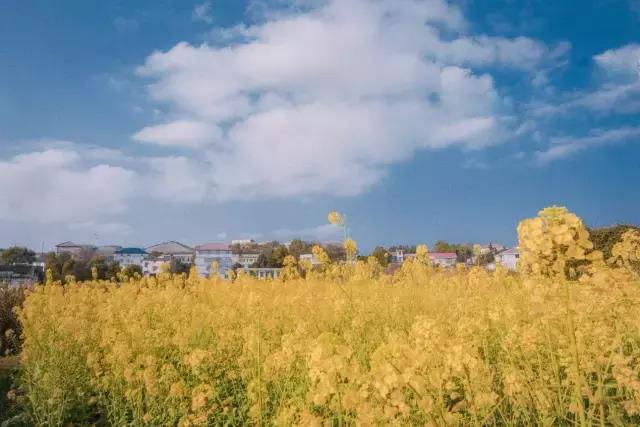 鄉(xiāng)村舊二層樓房改造，改成文藝青年小公寓