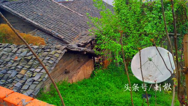 2024農(nóng)村在老宅基地上自建房有哪些新要求？