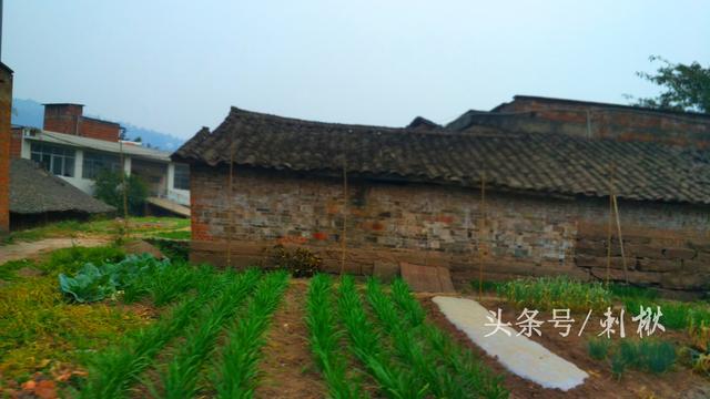 2024農(nóng)村在老宅基地上自建房有哪些新要求？