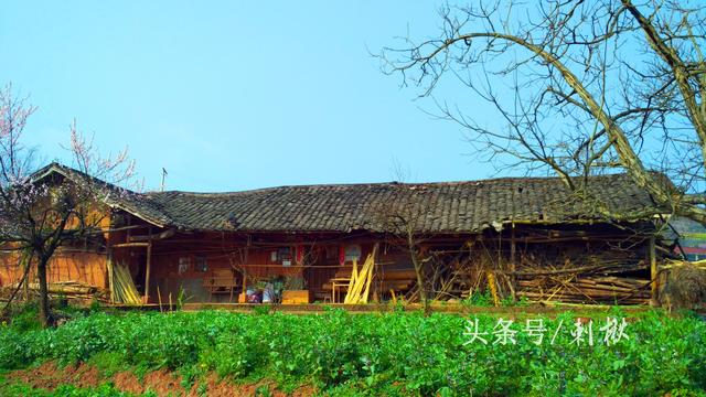 2024農(nóng)村在老宅基地上自建房有哪些新要求？