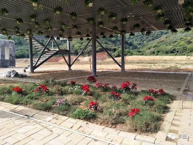 農(nóng)莊設(shè)計(jì)方案圖，建好的實(shí)拍圖更漂亮