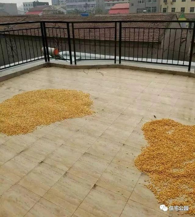 農(nóng)村自建房輕鋼別墅施工過(guò)程實(shí)拍，輕鋼別墅施工沒(méi)想象的難