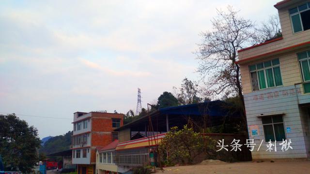 父母留下的宅基地自建房，兒女有處置的權(quán)利嗎