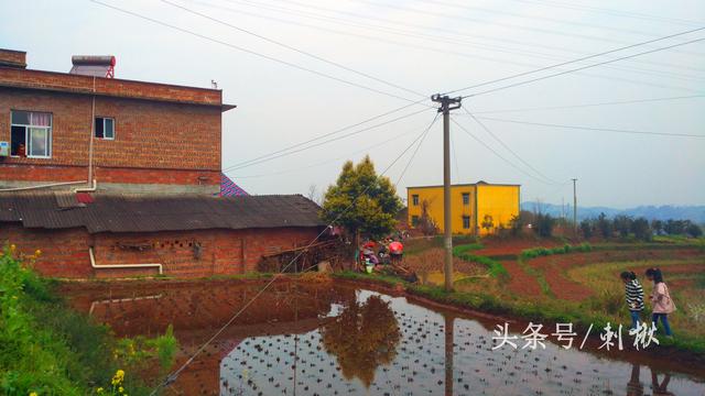 父母留下的宅基地自建房，兒女有處置的權(quán)利嗎