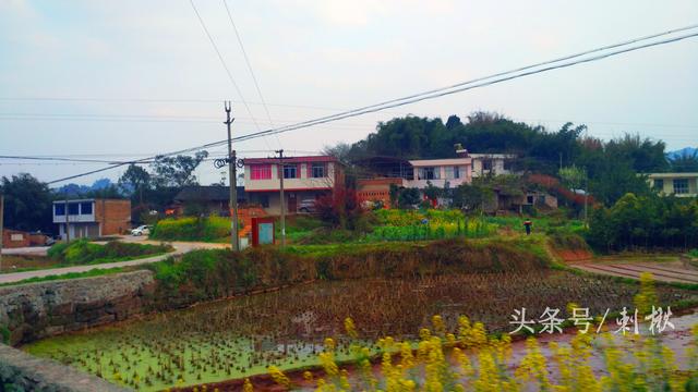 父母留下的宅基地自建房，兒女有處置的權(quán)利嗎
