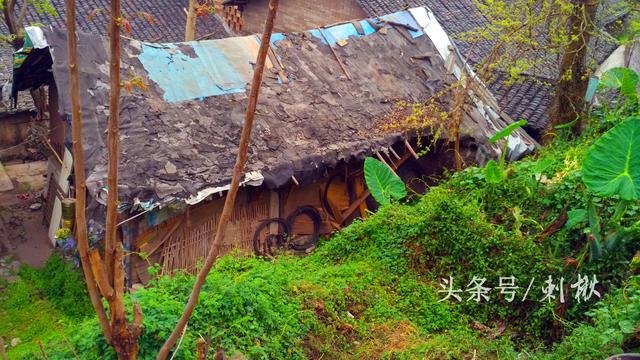 父母留下的宅基地自建房，兒女有處置的權(quán)利嗎