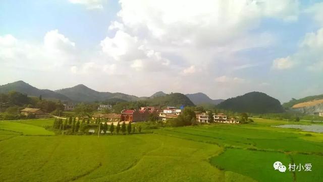 16x16m二層歐式小別墅方案圖，大落地窗+挑空客廳