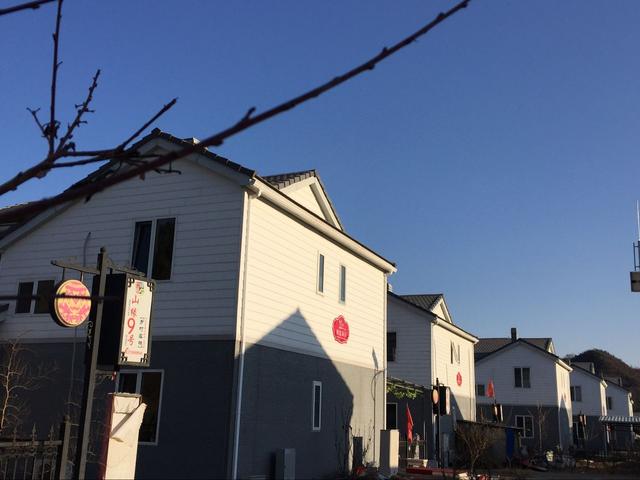 適合農(nóng)村建的別墅，有地的土豪喜歡哪一款？