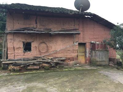 2024年農(nóng)村宅基地可以自由買賣嗎？