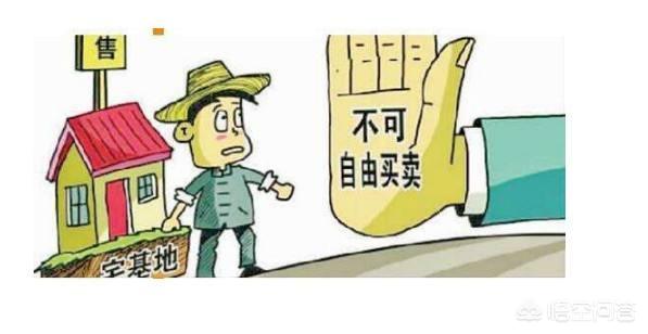 2024年農(nóng)村宅基地可以自由買賣嗎？