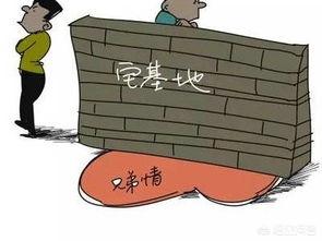 農(nóng)村自建房如何申請(qǐng)宅基地？