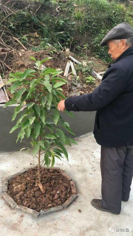 小伙農(nóng)村自建三合院全記錄，附方案圖和效果圖