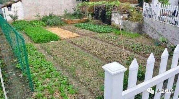 90后小夫妻逃離一線城市，回農(nóng)村自建別墅