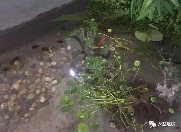 90后小夫妻逃離一線城市，回農(nóng)村自建別墅