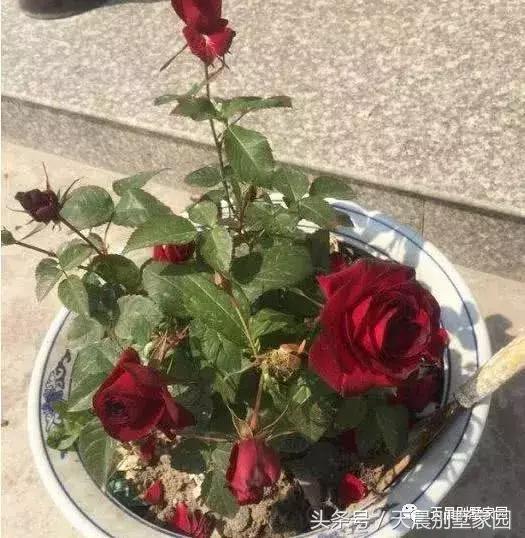 曬曬農(nóng)村自建的2層小樓，帶裝修50萬(wàn)搞定，看看值嗎？