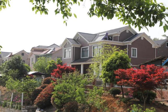 實(shí)拍浙江農(nóng)村，家家戶戶都是小別墅，令城里人羨慕