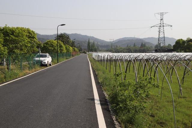 實(shí)拍浙江農(nóng)村，家家戶戶都是小別墅，令城里人羨慕