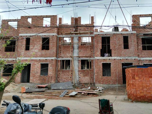 江蘇兄弟宅基地自建雙拼別墅，歐式奢華鄰居羨慕瘋！