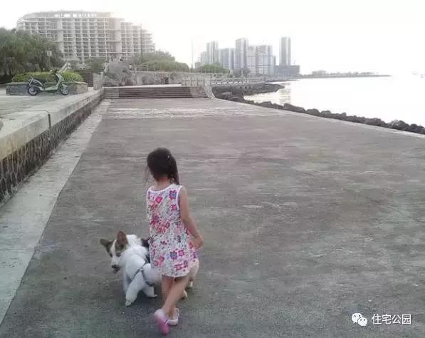 海南父子40萬(wàn)聯(lián)手自建2層養(yǎng)老房，這價(jià)錢(qián)你可信？