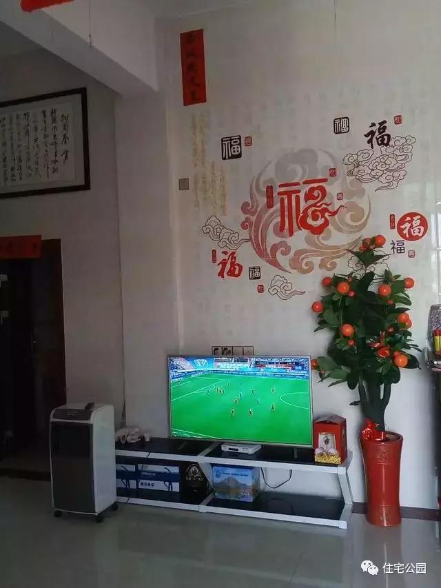 海南父子40萬(wàn)聯(lián)手自建2層養(yǎng)老房，這價(jià)錢(qián)你可信？