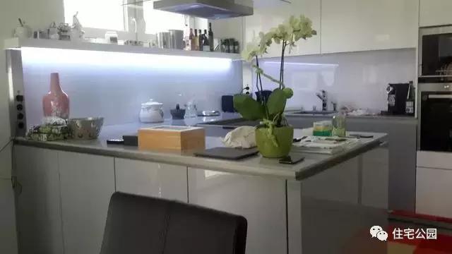 華人30萬(wàn)歐元在奧地利建起的家，果然不一般！