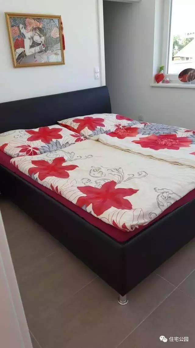 華人30萬(wàn)歐元在奧地利建起的家，果然不一般！