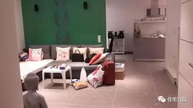 華人30萬(wàn)歐元在奧地利建起的家，果然不一般！