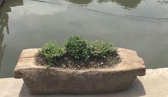 農(nóng)村這些老物件你家還有嗎，快點(diǎn)看看能派上大用場(chǎng)