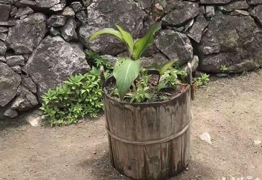 農(nóng)村這些老物件你家還有嗎，快點(diǎn)看看能派上大用場(chǎng)