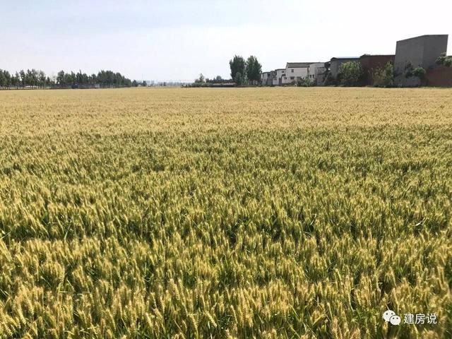 美如畫的農(nóng)村別墅，網(wǎng)友曬自建獨門小別墅，讓人羨慕的流口水