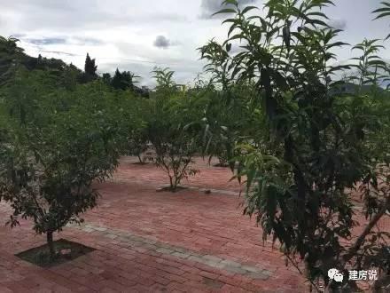 實拍網(wǎng)友自建別墅裝修實景，溫馨十足，幸福感爆棚