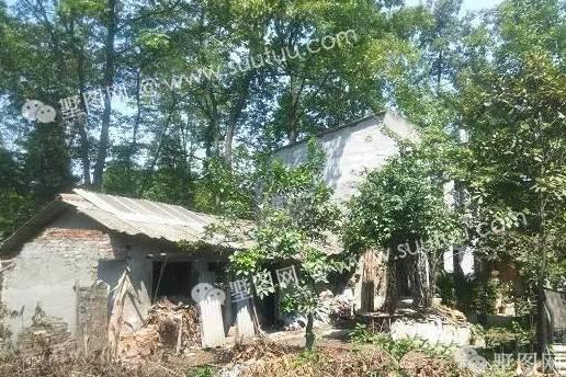 中式情懷大別墅，這樣的裝飾碉堡了！