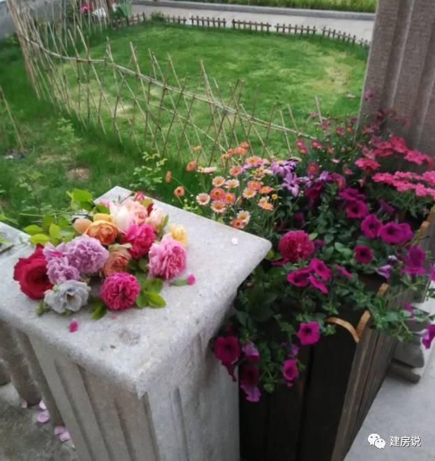 蘇州網(wǎng)友曬三層農(nóng)村別墅，帶洋氣花園很有格局