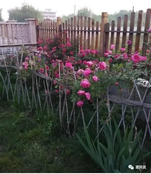 蘇州網(wǎng)友曬三層農(nóng)村別墅，帶洋氣花園很有格局