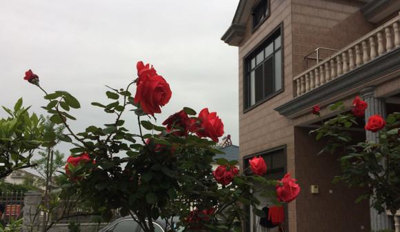 曬曬婆家?guī)臀覝蕚涞男路?，花?0幾萬，閨蜜羨慕的不行