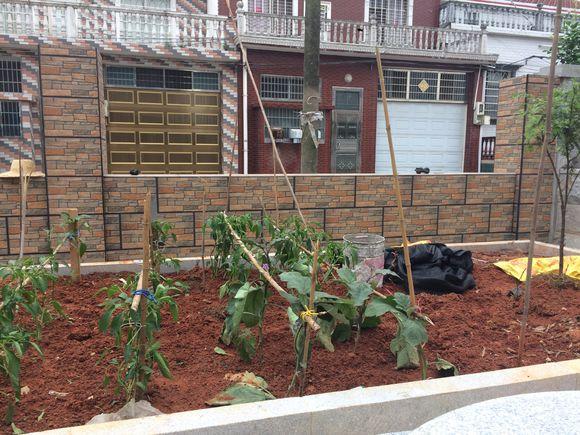 曬曬婆家?guī)臀覝蕚涞男路?，花?0幾萬，閨蜜羨慕的不行