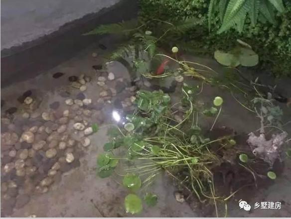 帶亭子的二層農(nóng)村自建房，附完工照和室內(nèi)裝修圖