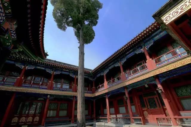 四合院才是真正別墅，其他的別墅比起來弱爆了，不信可以自己看