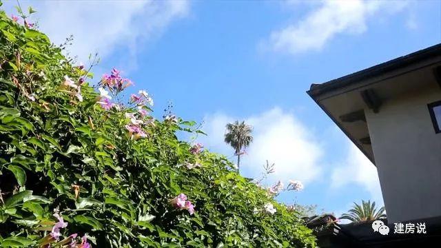 看完這棟自建別墅才知道什么叫有品味，什么叫會享受生活