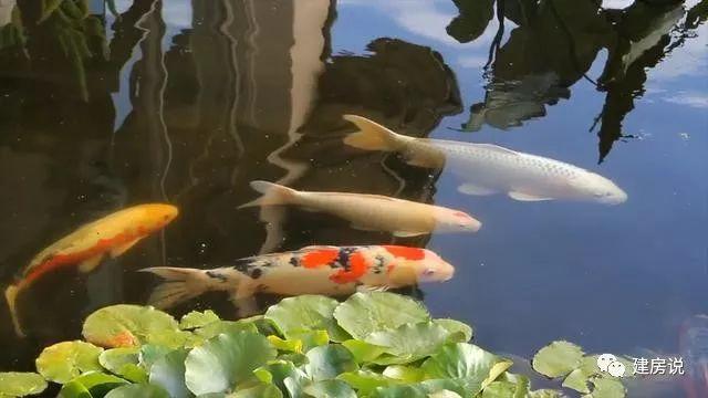 看完這棟自建別墅才知道什么叫有品味，什么叫會享受生活