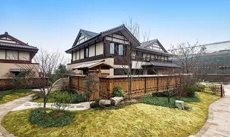 沿湖農(nóng)村蓋起“超靈氣”別墅！造價30萬、40萬、50萬？