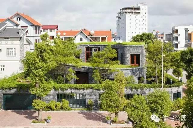 別墅 | 自建房別墅做成這樣也是絕了，滿眼的綠色！