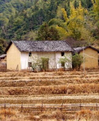 努力賺錢，為給爸媽一個養(yǎng)老的地方，農(nóng)村小伙18萬為父母建別墅！