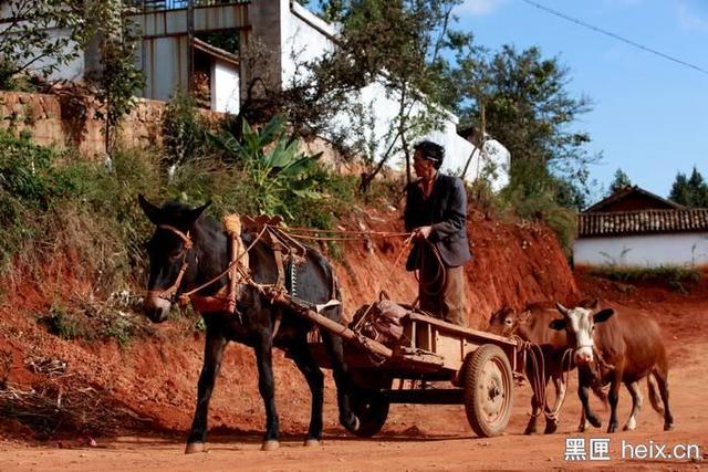 他為90后農(nóng)民蓋別墅，看房還可以用VR