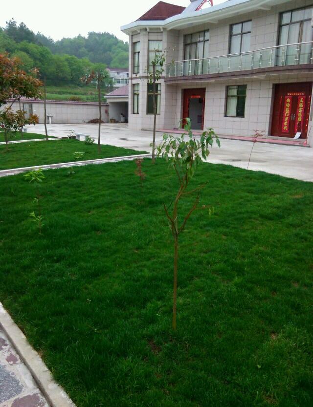 曬曬公公花100多萬的農(nóng)村小別墅，最喜歡院子里的草坪和大魚池！