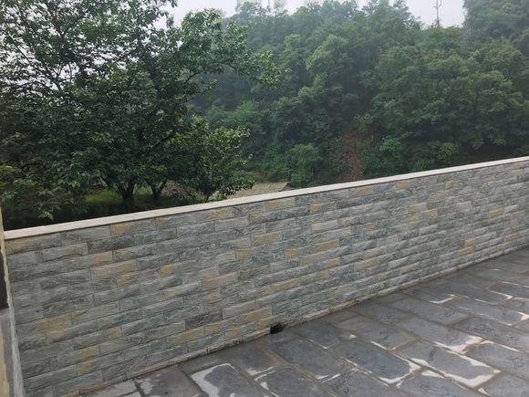 曬曬剛蓋好鄉(xiāng)村小別墅，找老婆就靠它了