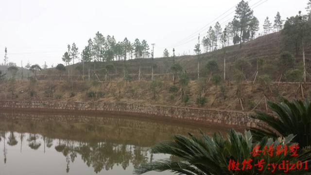 農村歐式別墅，10年內很難有人超越！