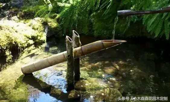 別墅花園之魚池設(shè)計