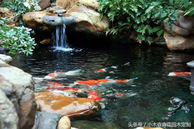 別墅花園之魚池設(shè)計