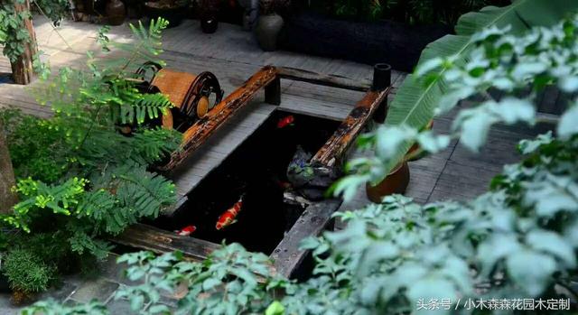 別墅花園之魚池設(shè)計